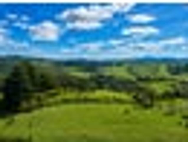 Land for sale in Kawau Island, Northland