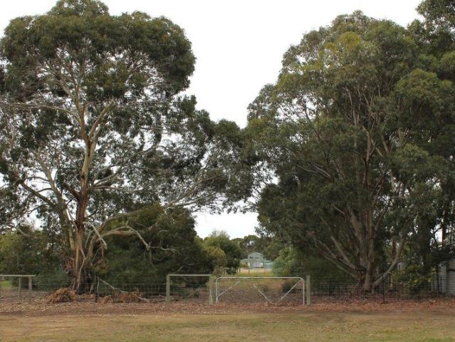 Land for sale in Kendenup, Western Australia