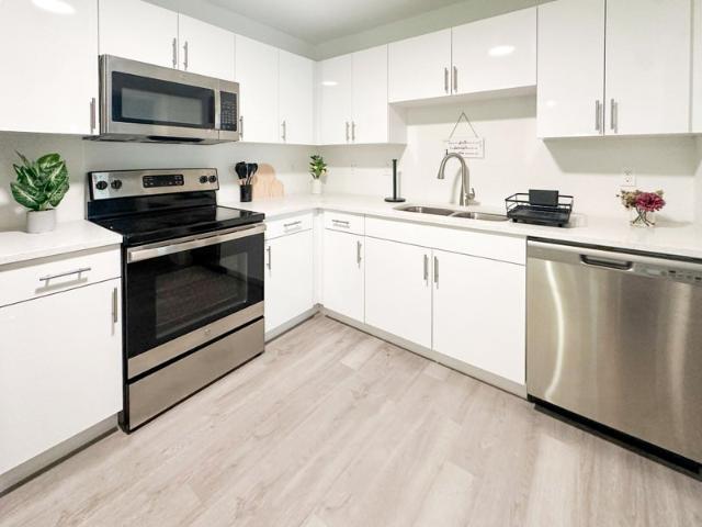 Room for rent in Tampa, Florida