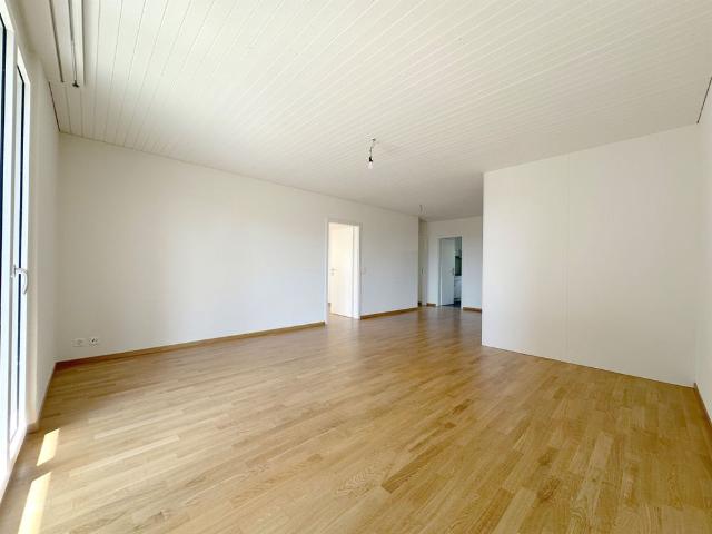 Apartment mieten in Hedingen, Zürich