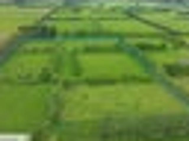 Land for sale in Swannanoa, Canterbury