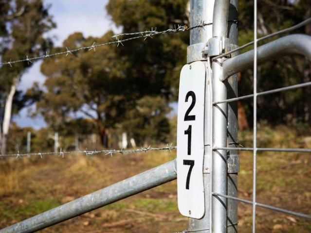 Land for sale in Grosses Plain, New South Wales