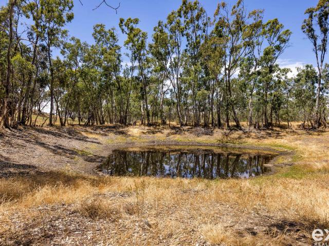 House for sale in Angaston, South Australia