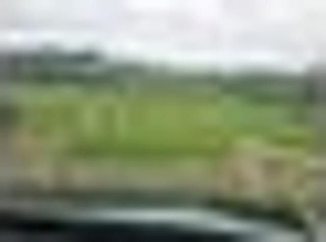 Land for sale in Karetu, Northland