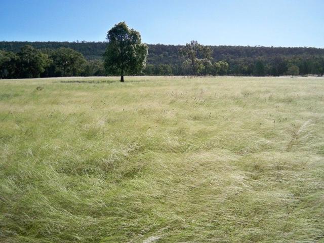 Cottage for sale in Rankins Springs, New South Wales