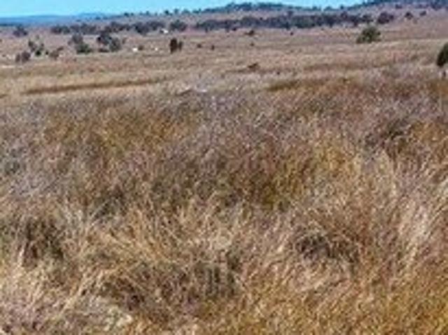 House for sale in Silver Spur, Queensland