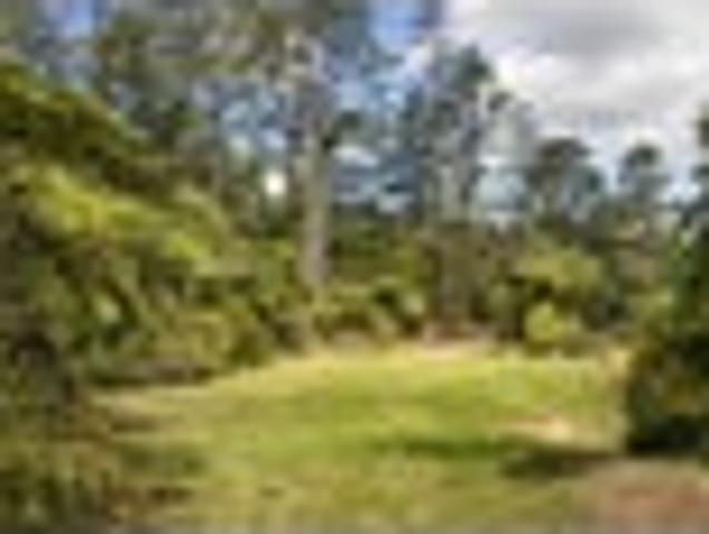 Land for sale in Waitekauri, Waikato