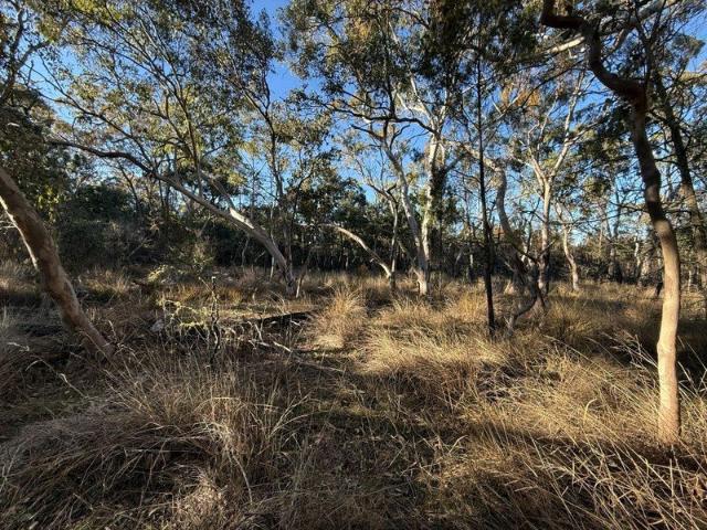 Land for sale in Glen Aplin, Queensland