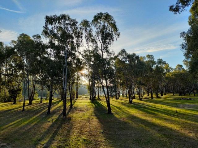 Land for sale in Tocumwal, New South Wales