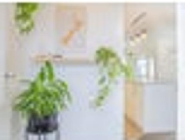 House for sale in Bay Of Plenty
