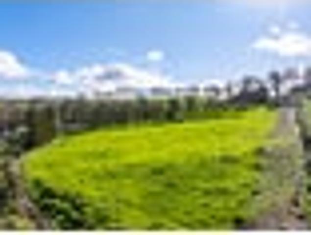 Land for sale in Mangawai, Northland