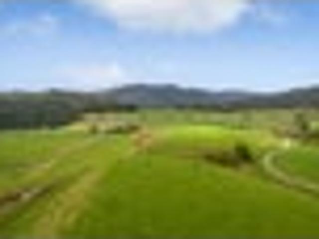 Land for sale in Horowhenua District