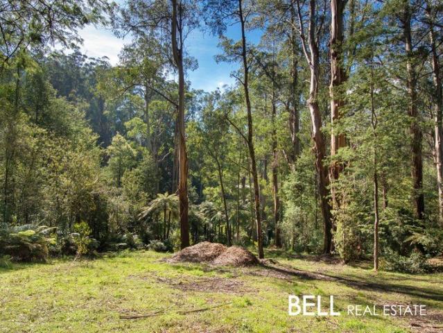 Land for sale in Camerons Creek, Victoria