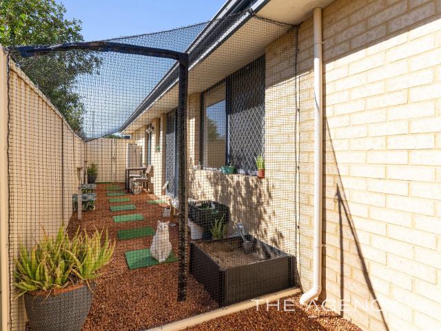 House for sale in Wattle Grove, Western Australia