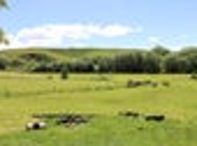 Land for sale in Motatau, Southland