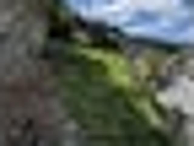 Land for sale in Otakou