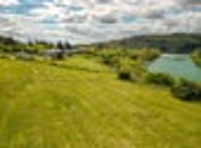 Land for sale in Teviot Valley Community, Central Otago District