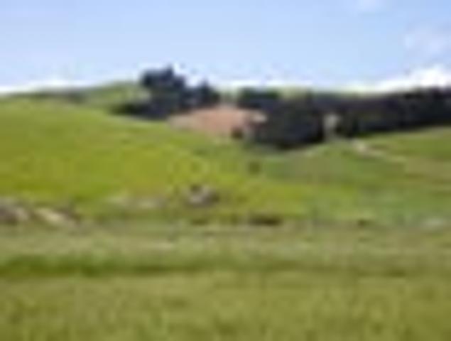 Land for sale in Millers Flat, Teviot Valley Community