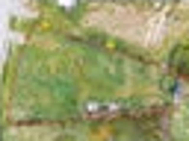 Land for sale in Ida Valley, Otago