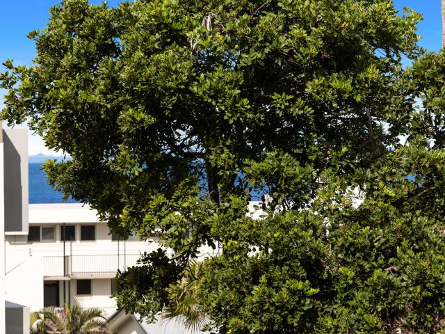 Apartment for sale in Kings Creek, Queensland