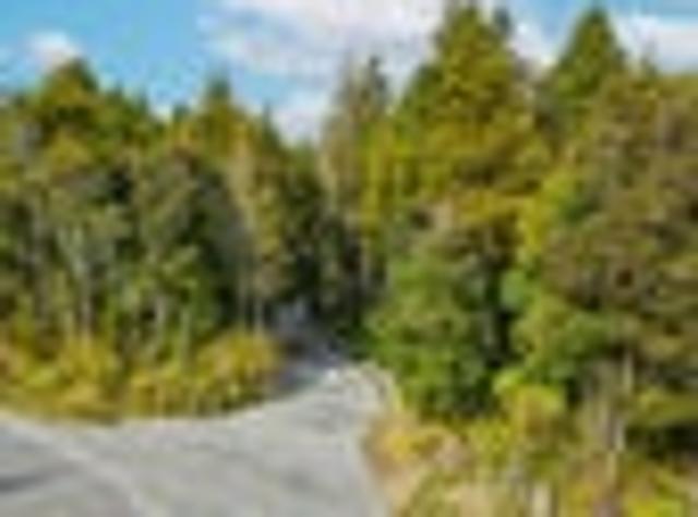 Land for sale in West Coast