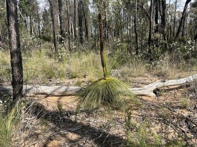 Land for sale in Coonabarabran, New South Wales