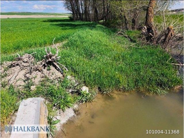 Sarikaya, Yozgat içerisinde satılık Arsa