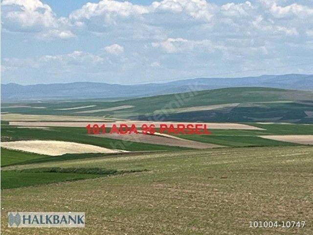 Boyalık, Sarıkaya içerisinde satılık Arsa