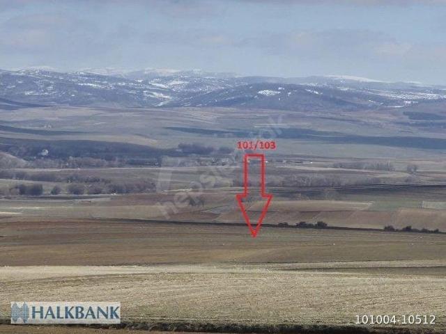Boyalık, Sarıkaya içerisinde satılık Arsa