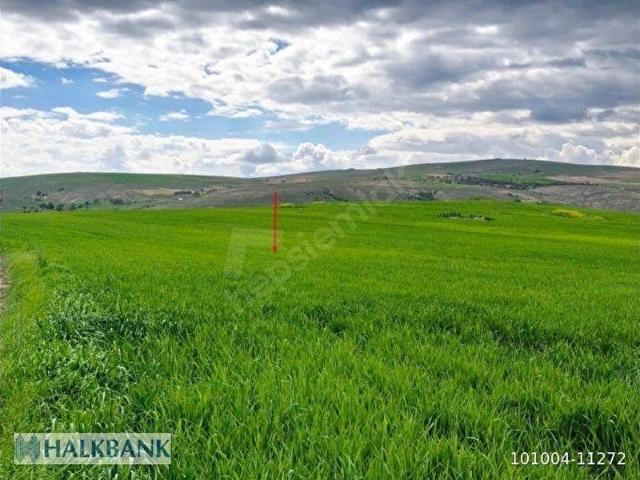 Sarikaya, Yozgat içerisinde satılık Arsa