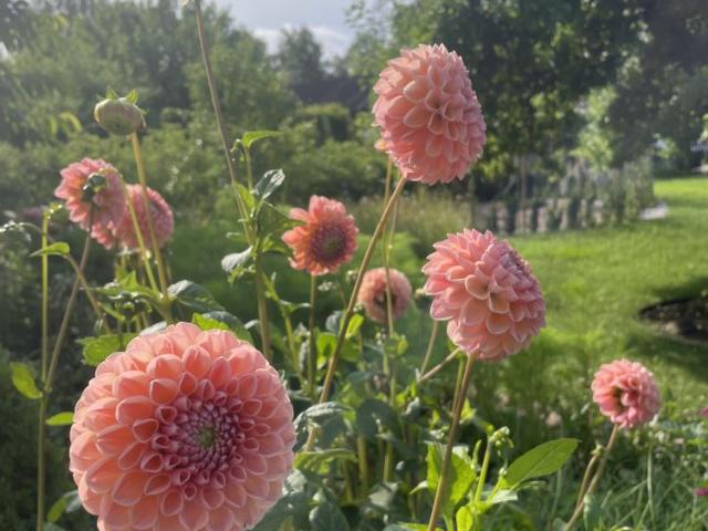 Hus hyra i Huddinge, Stockholm