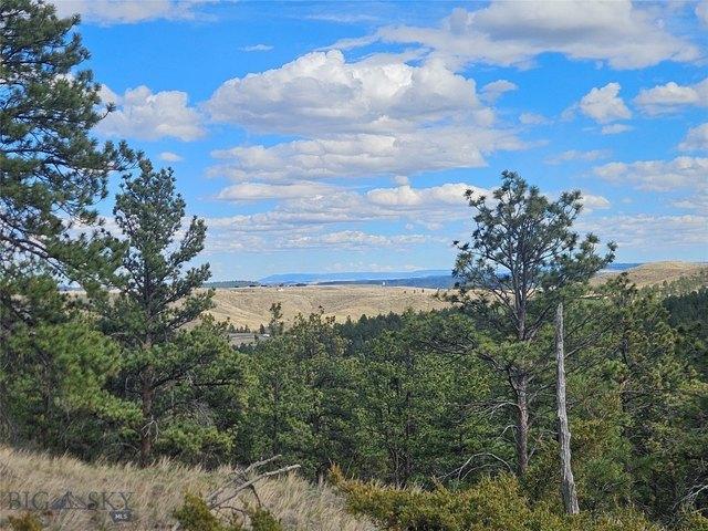 Land for sale in Columbus, Montana