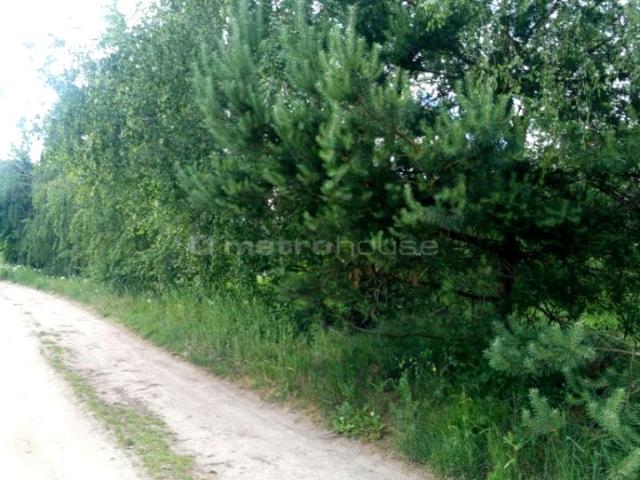 Grunt na sprzedaż w Radzewo, Wielkopolskie