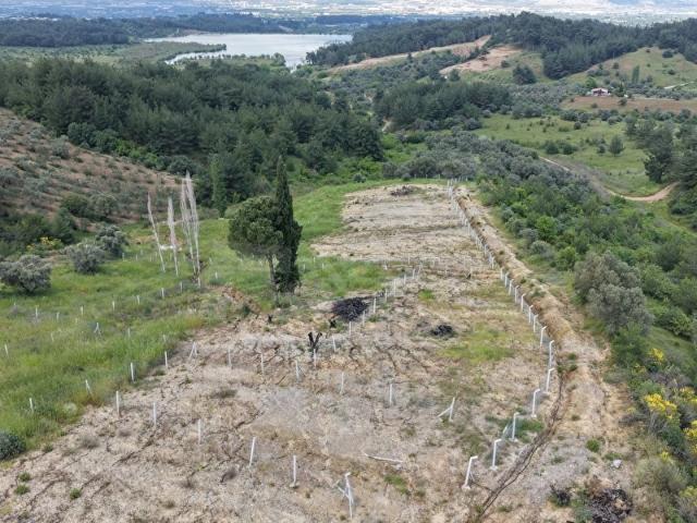 Kemalpaşa, İzmir içerisinde satılık mülk