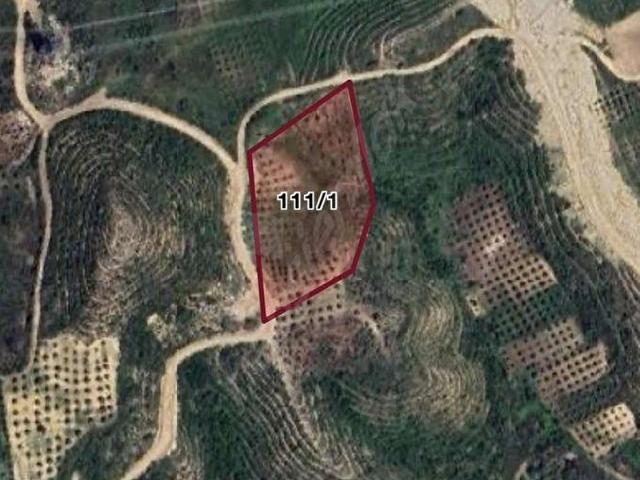 Dikmen, Manavgat içerisinde satılık Arsa