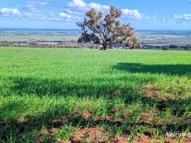 Property for sale in Boonanarring, Western Australia
