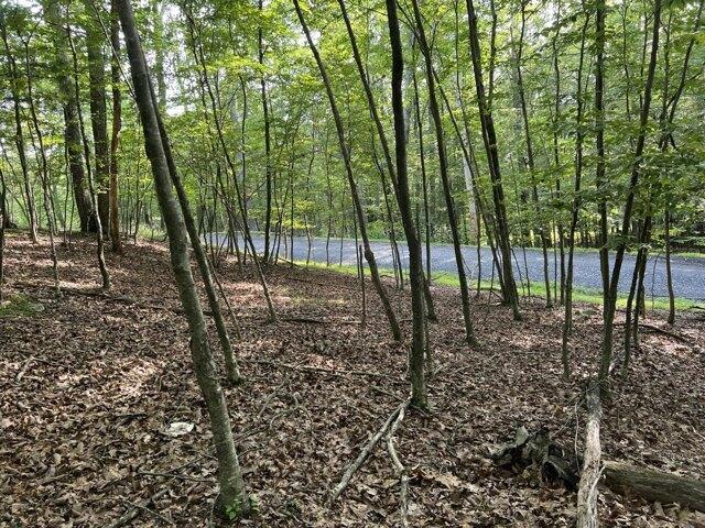 Land for sale in East Stroudsburg Land for sale in East Stroudsburg