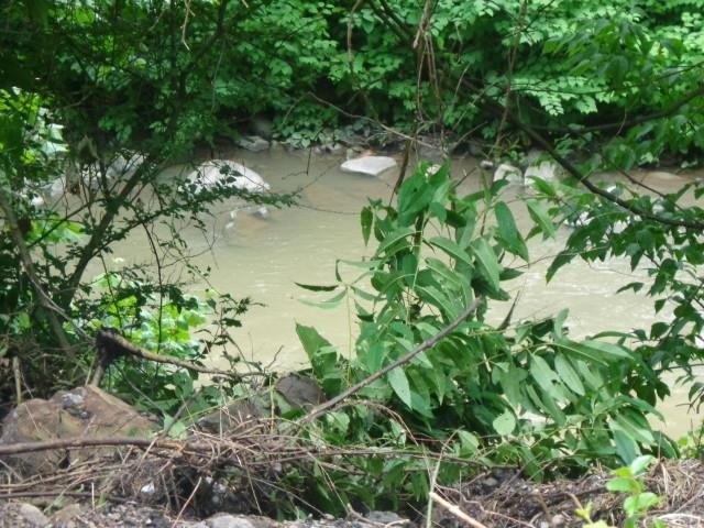 Land for sale in War, West Virginia