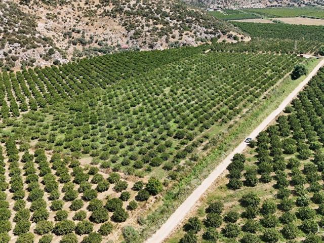 Selçuk, İzmir içerisinde satılık mülk