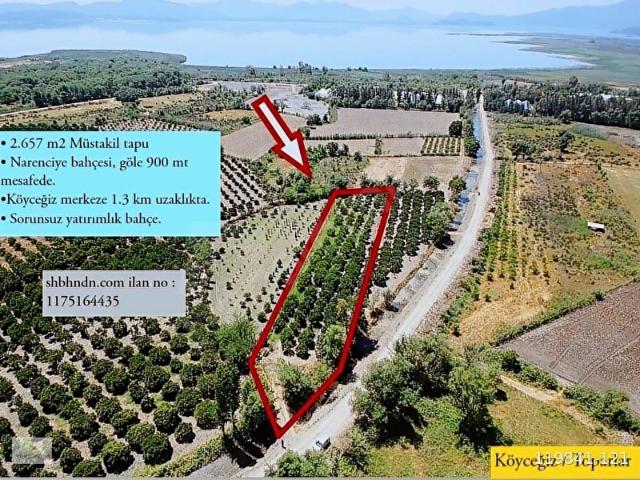 Köyceğiz, Muğla içerisinde satılık mülk