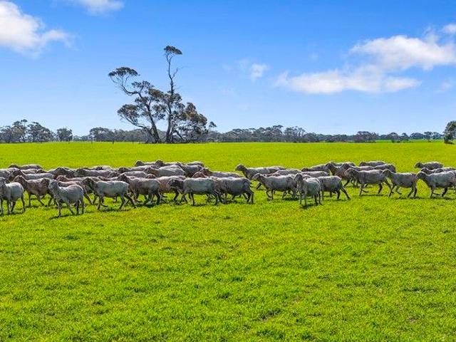 Acreage for sale in Peake, South Australia