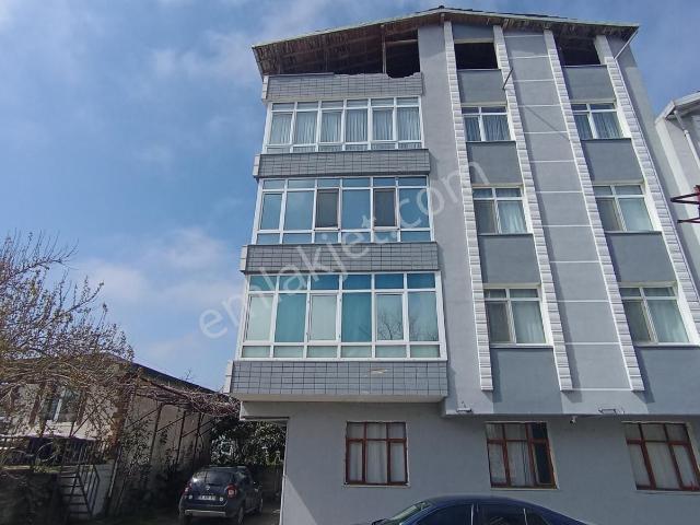 Terme, Samsun içerisinde satılık mülk