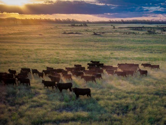 Cottage for sale in Dubbo, New South Wales