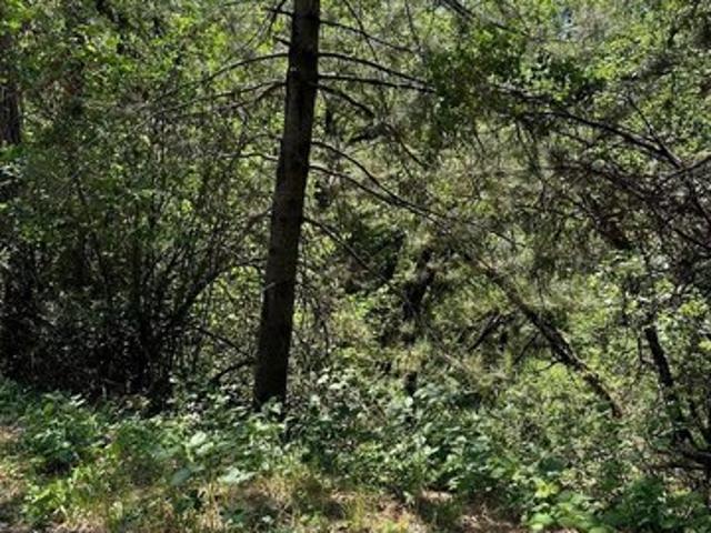 Land for sale in Shasta, California