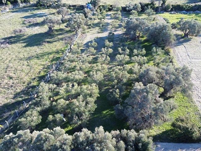 Çeşme, İzmir içerisinde satılık Arsa