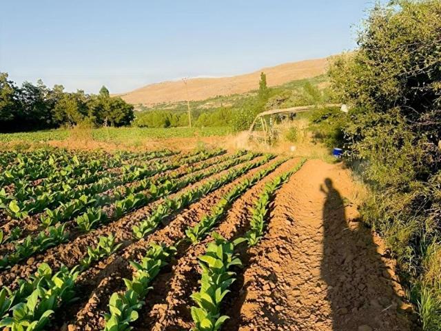 Doğanşehir, Malatya içerisinde satılık Arsa