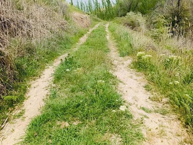 Şeyhler Mahallesi, Akçadağ içerisinde satılık Arsa