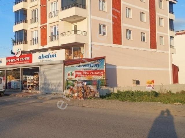 19 Mayis, Samsun içerisinde kiralık mülk