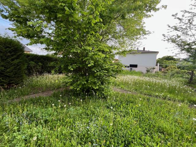 Terrain vente à Thionville, Yutz