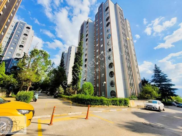 İzmit, Kocaeli içerisinde kiralık mülk